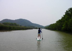 sup004