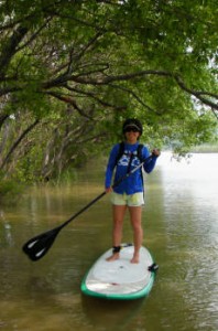 sup005