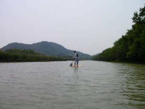 sup006